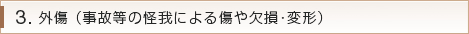 外傷 （事故等の怪我による傷や欠損･変形）